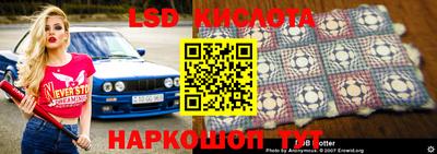прущие грибы Донской