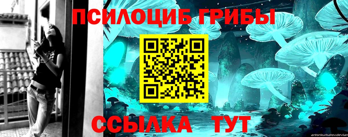 купить   Псилоцибиновые грибы мухоморы  Вход с VPN  Люберцы  Псилоцибиновые грибы мицелий 